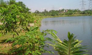 situ-asih-pulo-depok